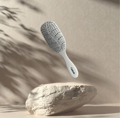 BROSSE LA DEMELANTE