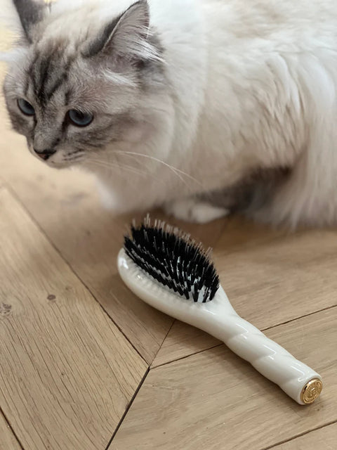 LE JOURNAL : LA BONNE BROSSE, c’est quoi ?